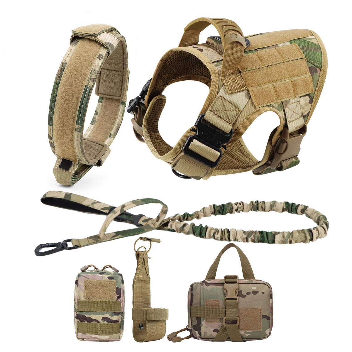 Explorer Harness & Leash Set