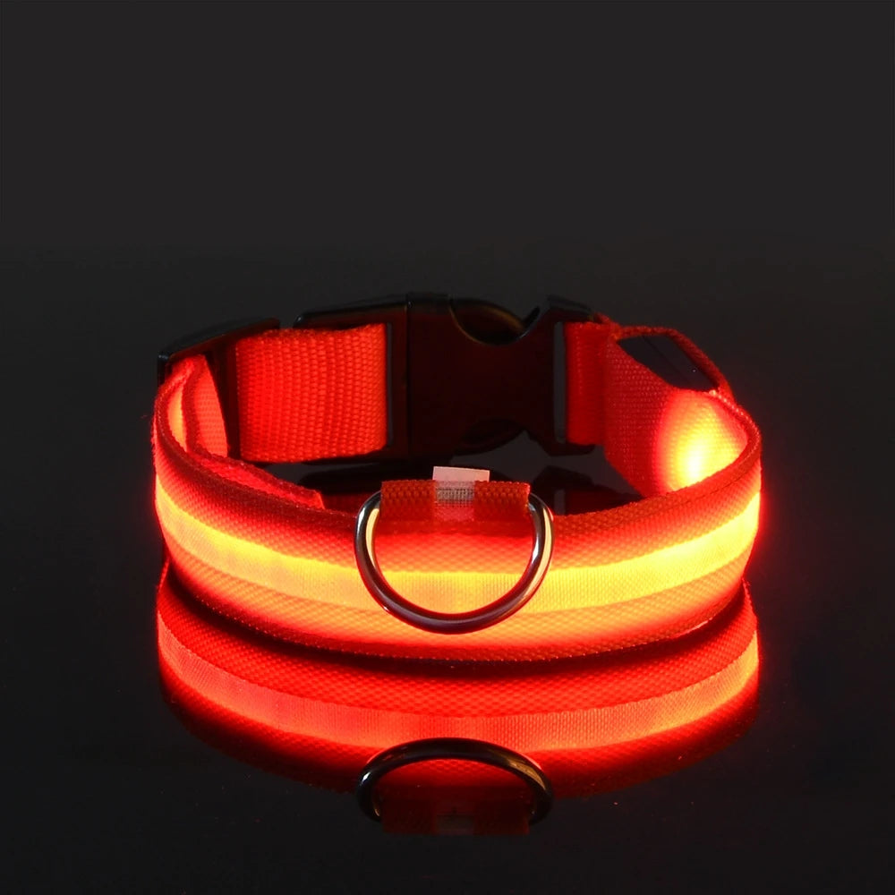 Glow Night-Walk Leash