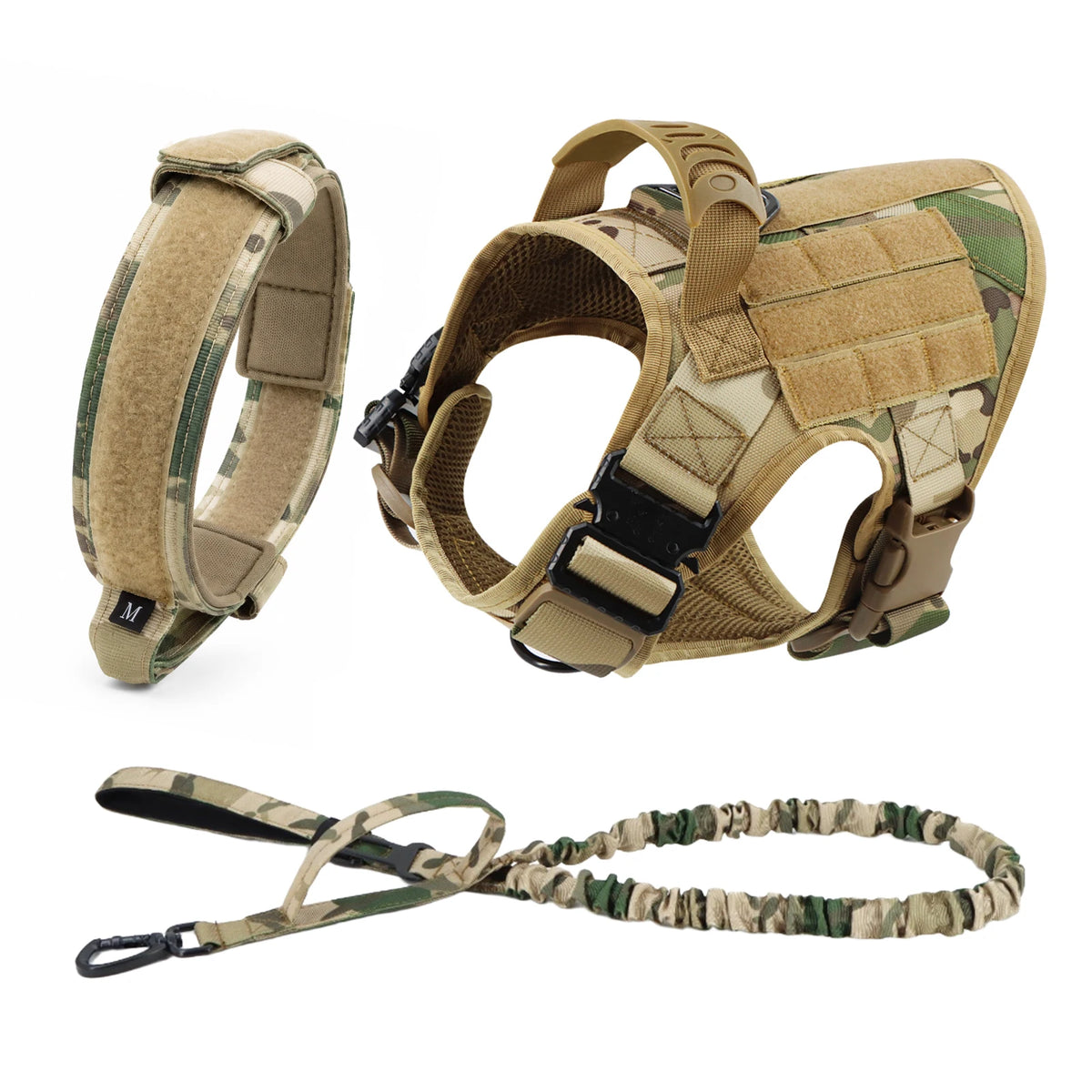 Explorer Harness & Leash Set