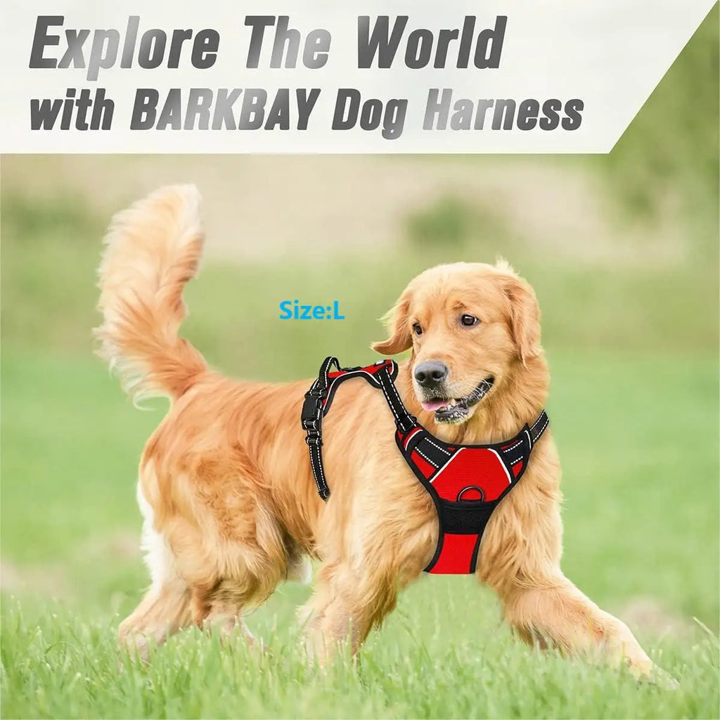 Everyday Comfort Harness