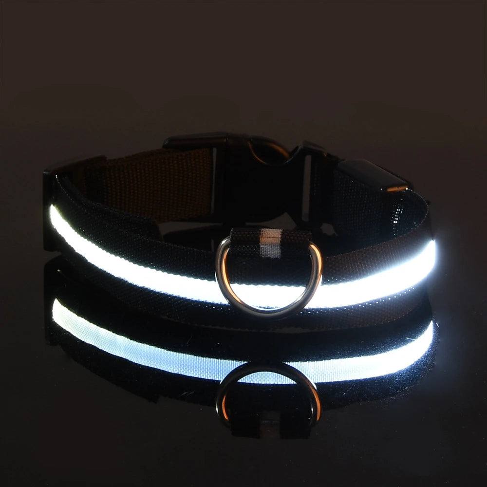 Glow Night-Walk Leash