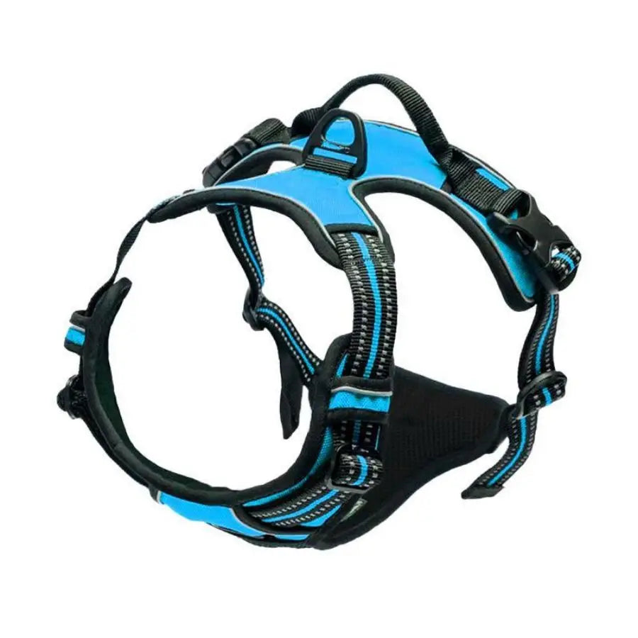 Everyday Comfort Harness