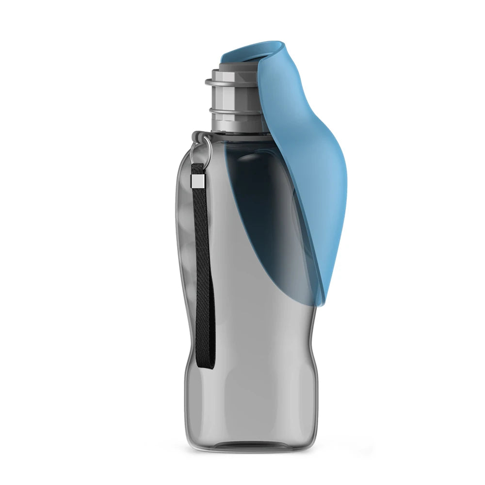 Adventure Water Bottle
