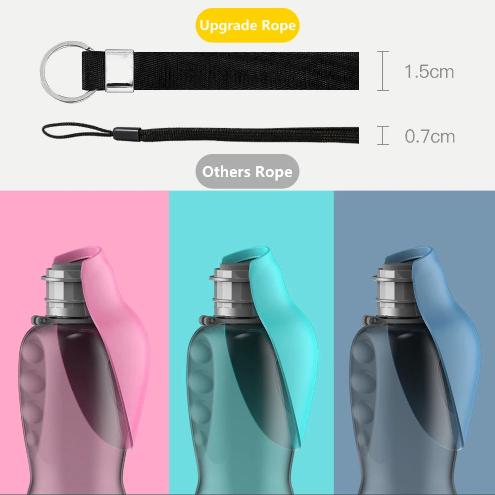 Adventure Water Bottle