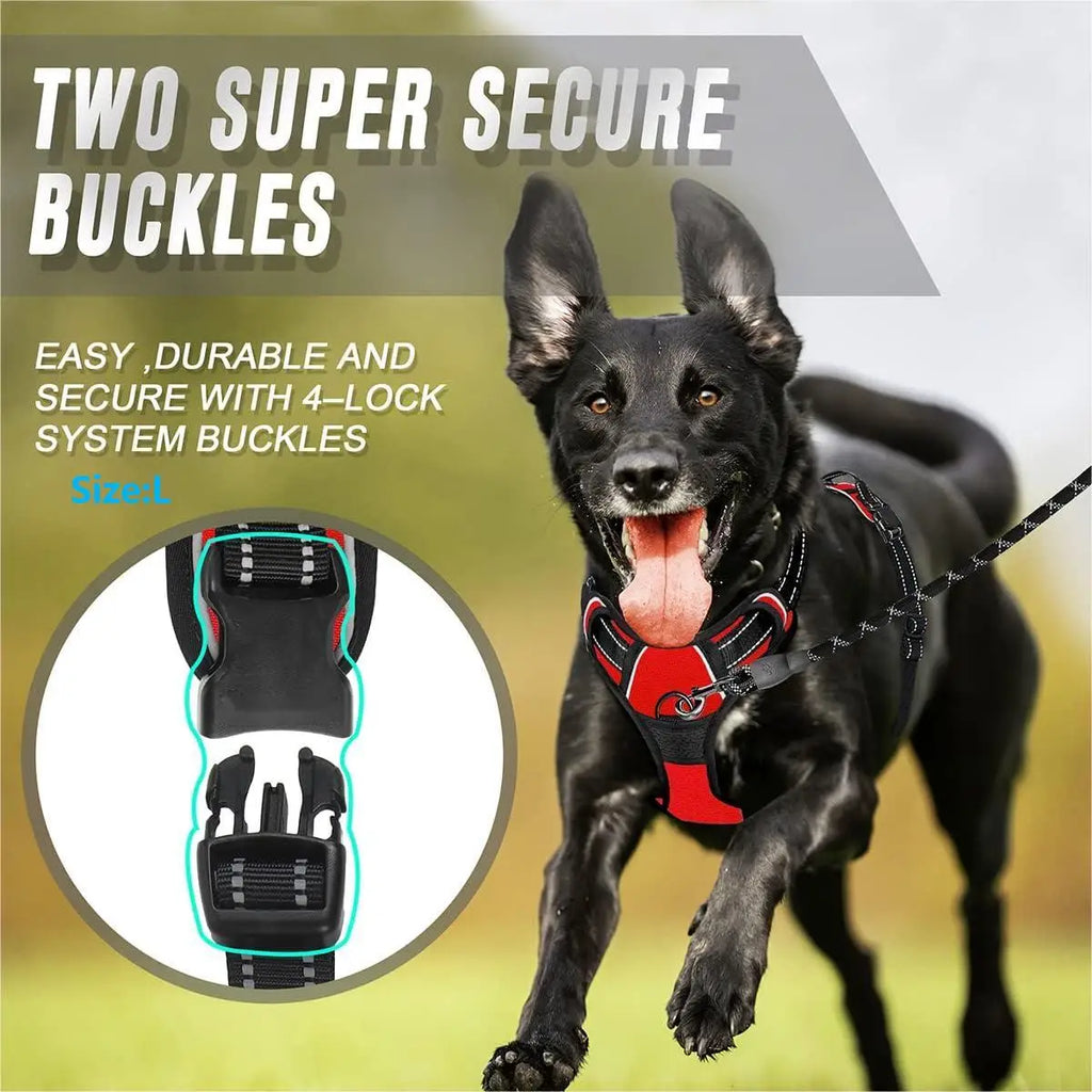 Everyday Comfort Harness