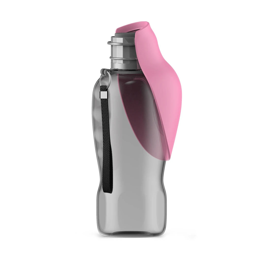 Adventure Water Bottle