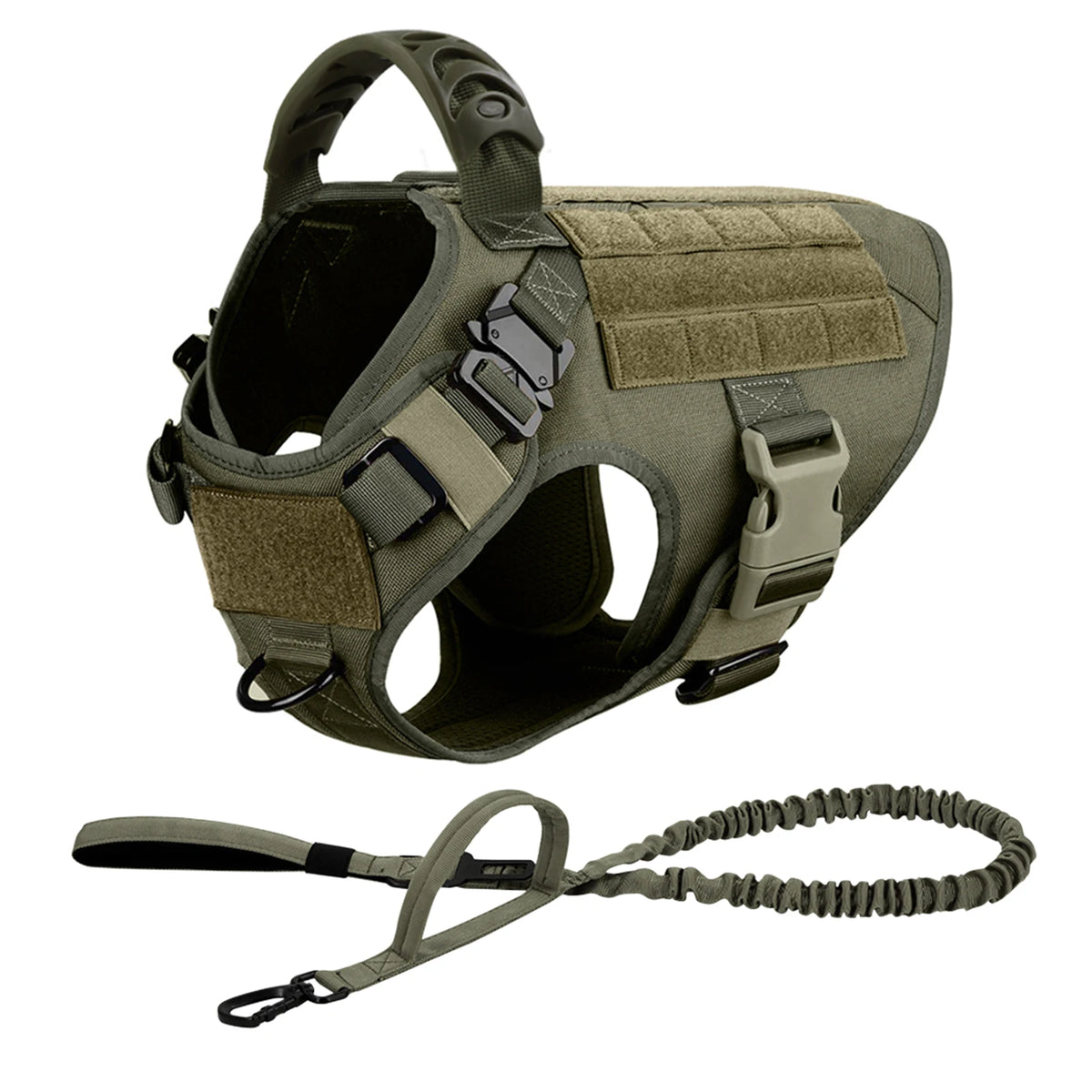 Explorer Harness & Leash Set
