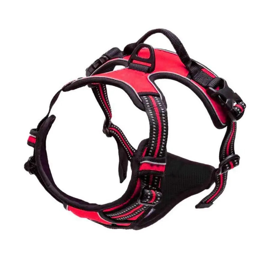 Everyday Comfort Harness