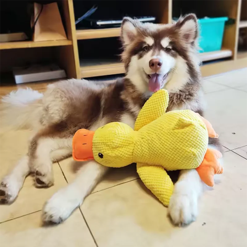 Squeaky Duck Plush