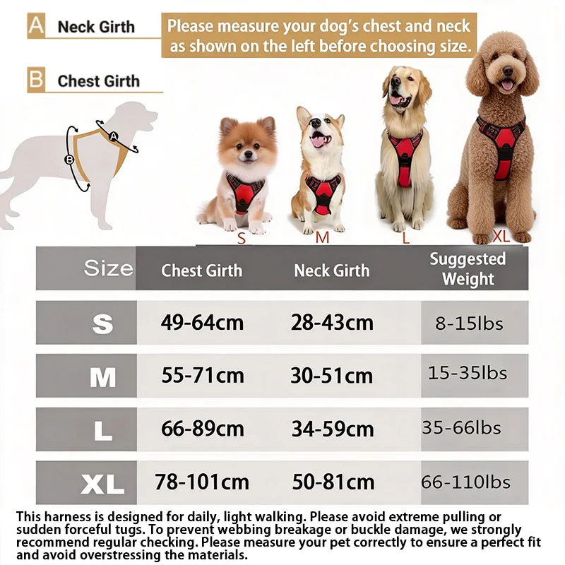 Everyday Comfort Harness