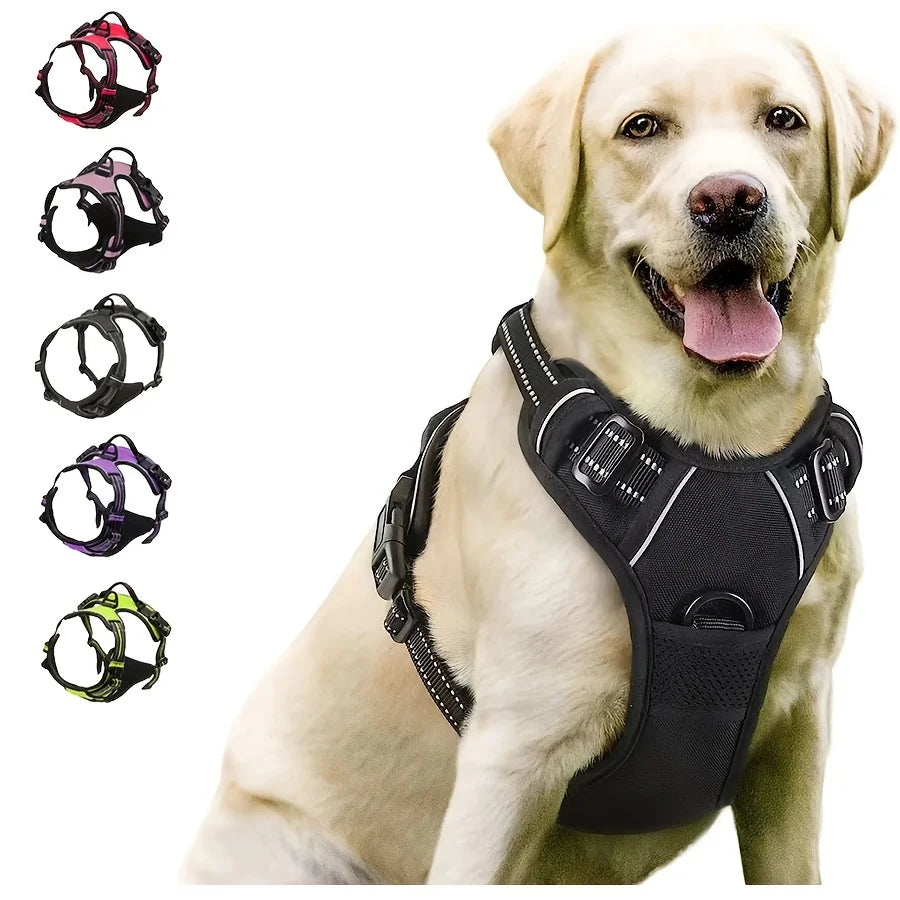 Everyday Comfort Harness