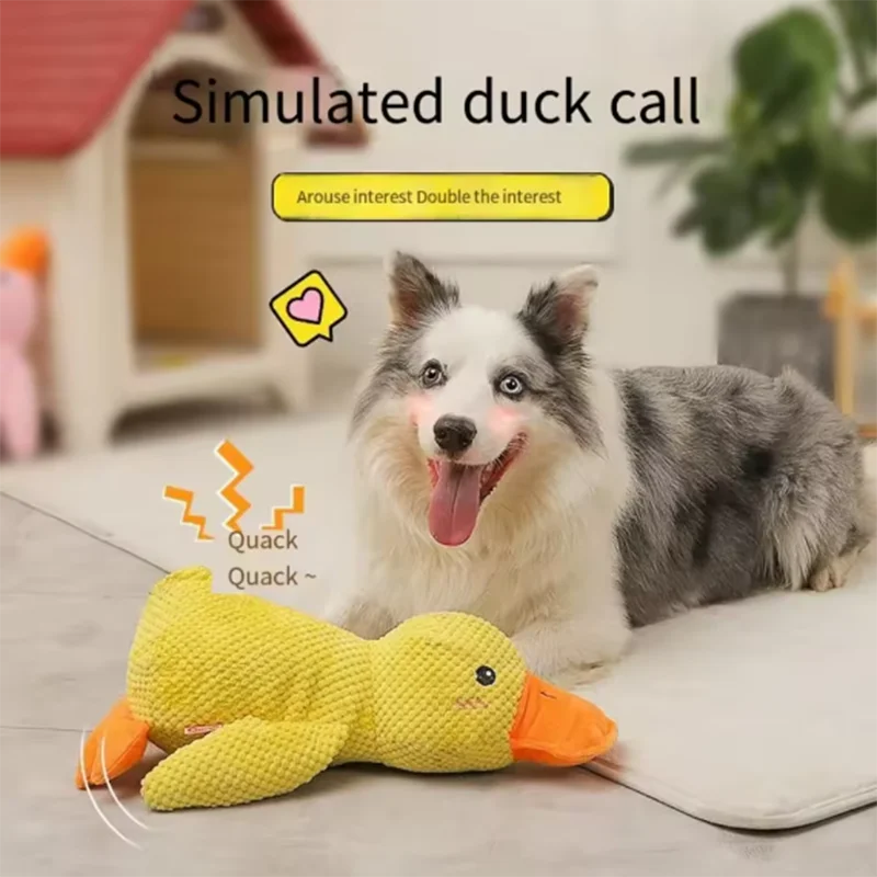 Squeaky Duck Plush