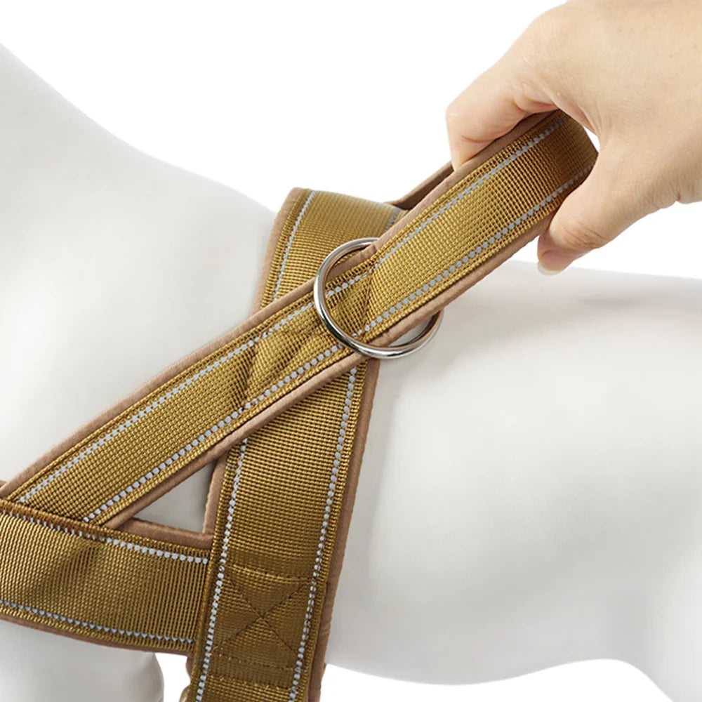 Trail No-Pull Harness