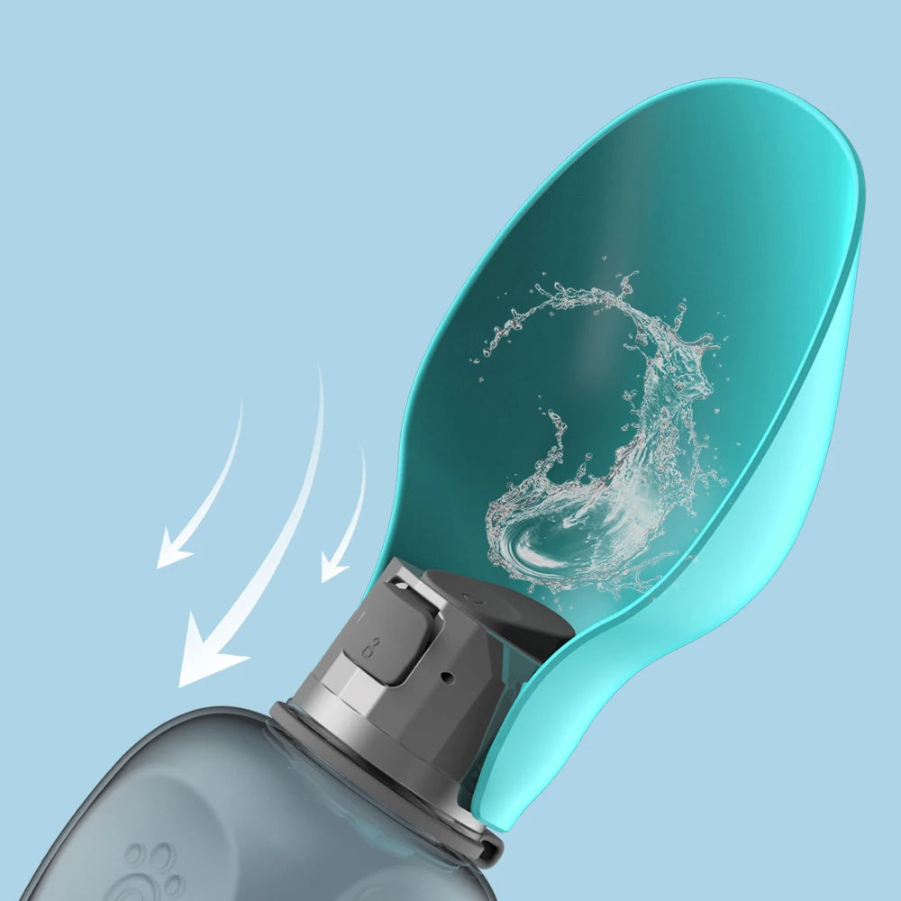 Adventure Water Bottle