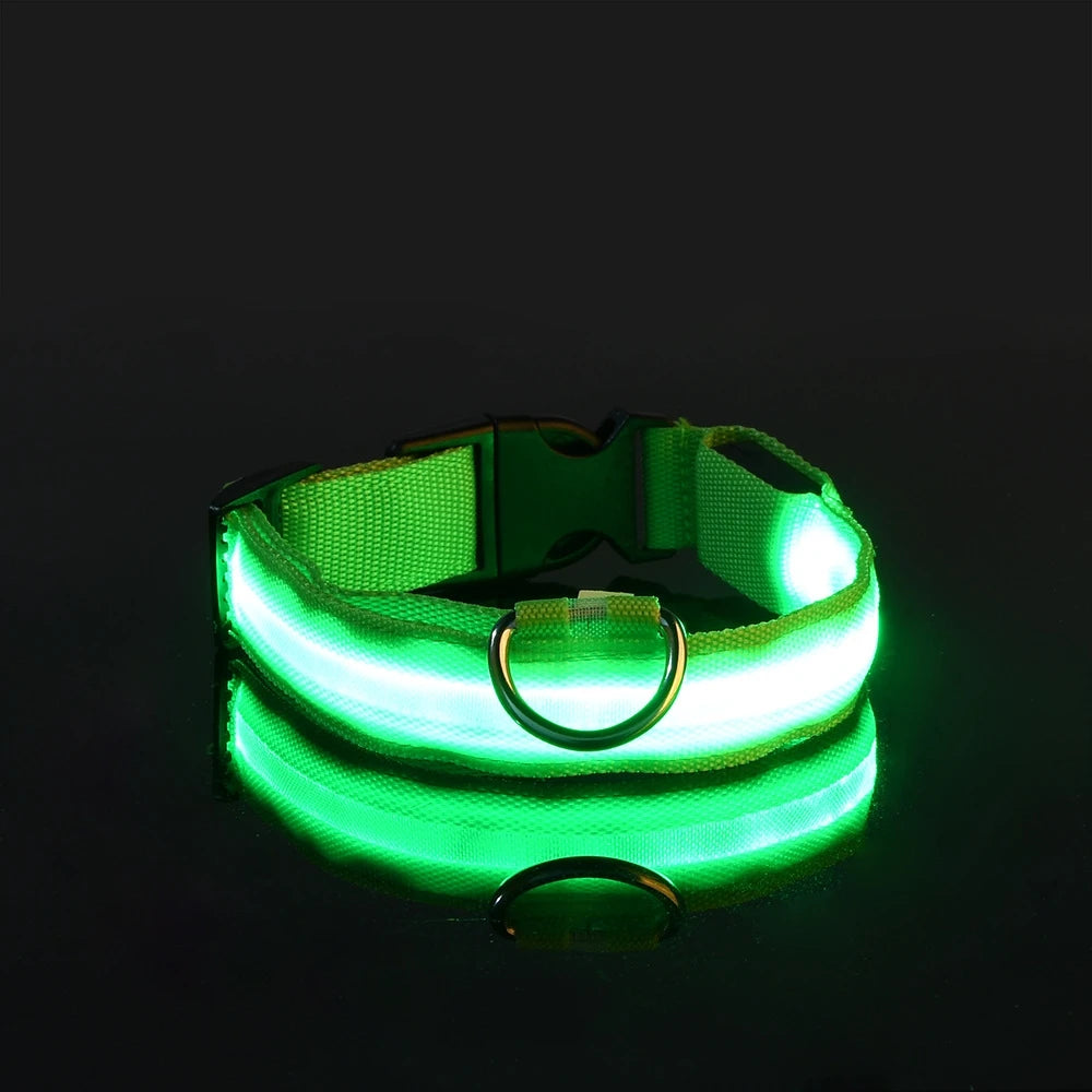 Glow Night-Walk Leash