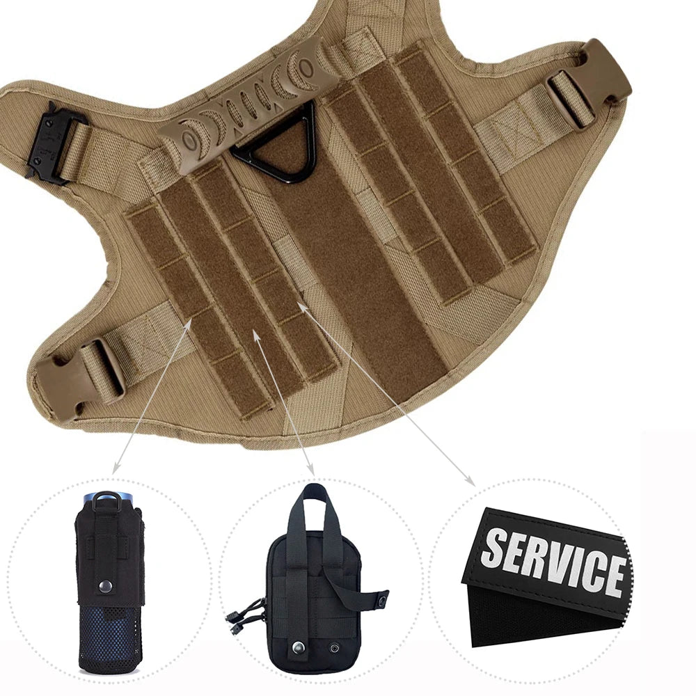 Explorer Harness & Leash Set