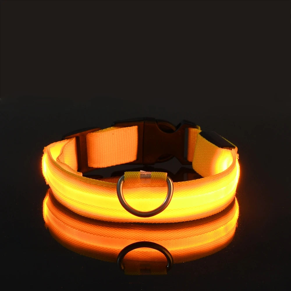 Glow Night-Walk Leash