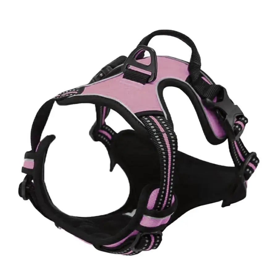 Everyday Comfort Harness