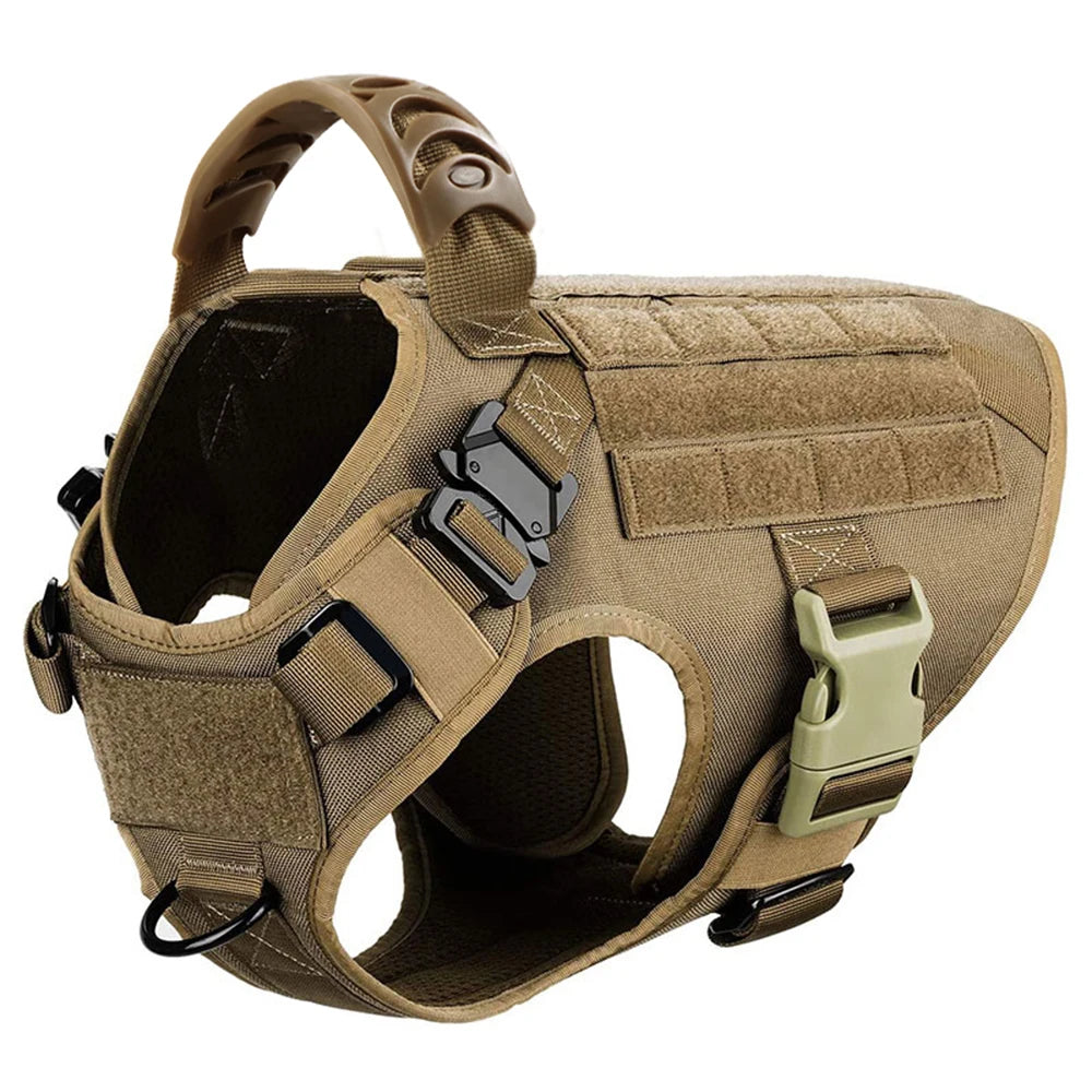 Explorer Harness & Leash Set