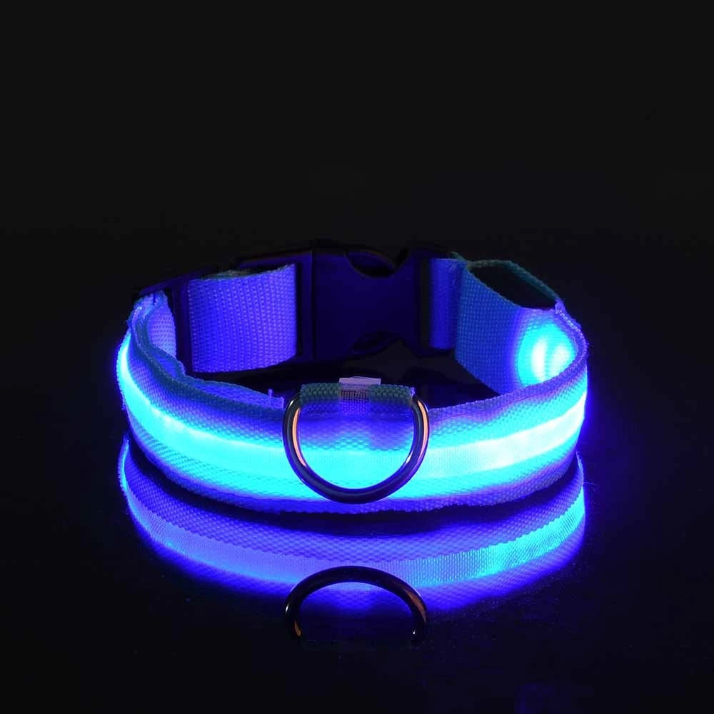 Glow Night-Walk Leash