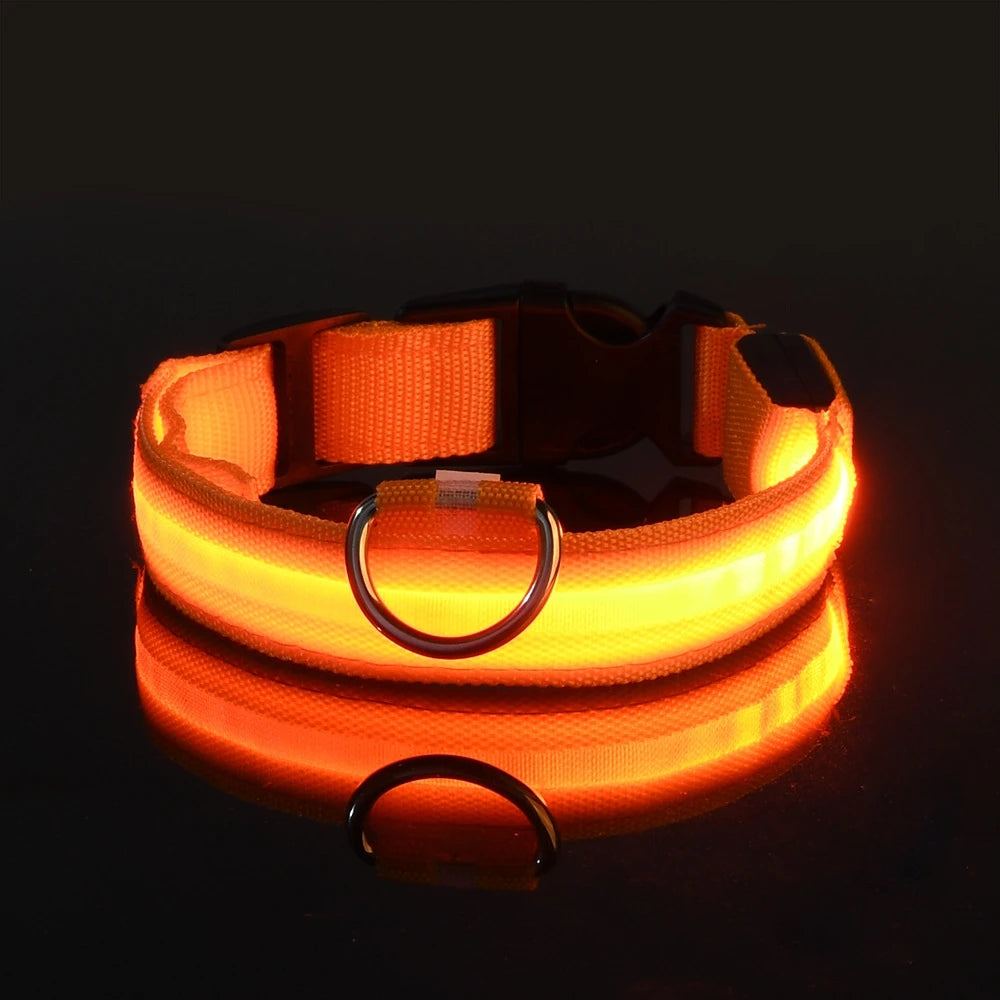 Glow Night-Walk Leash