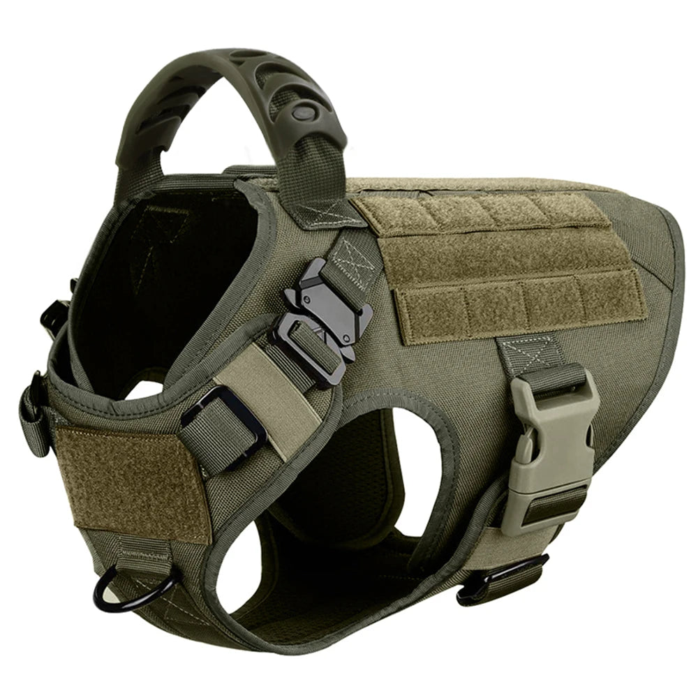 Explorer Harness & Leash Set
