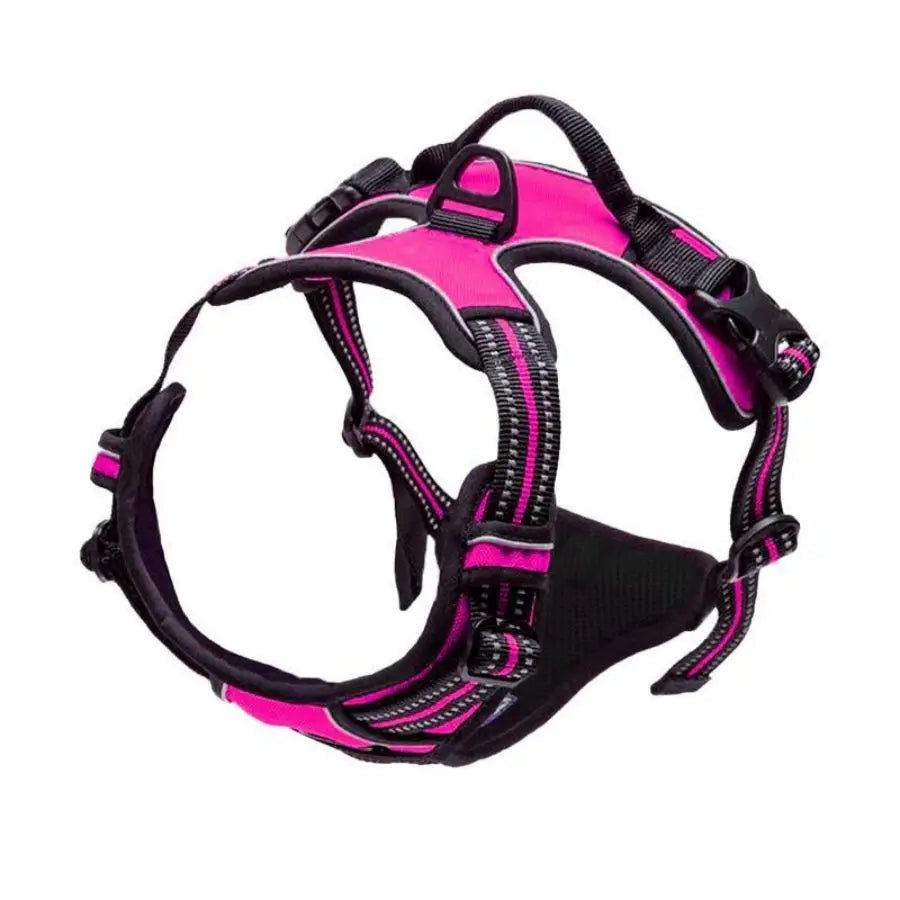 Everyday Comfort Harness