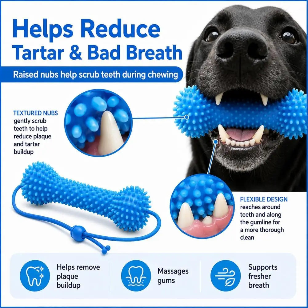 Dental Chew Stick