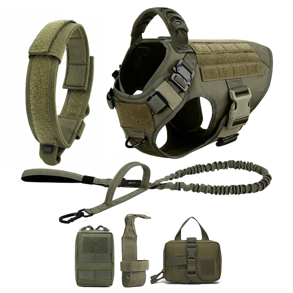 Explorer Harness & Leash Set