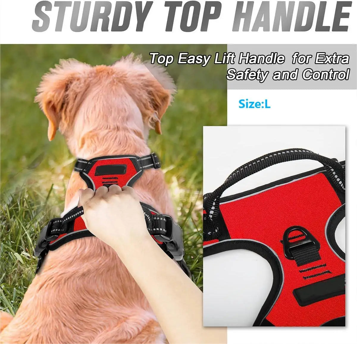 Everyday Comfort Harness