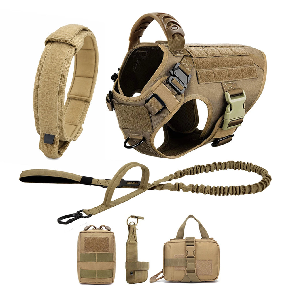 Explorer Harness & Leash Set