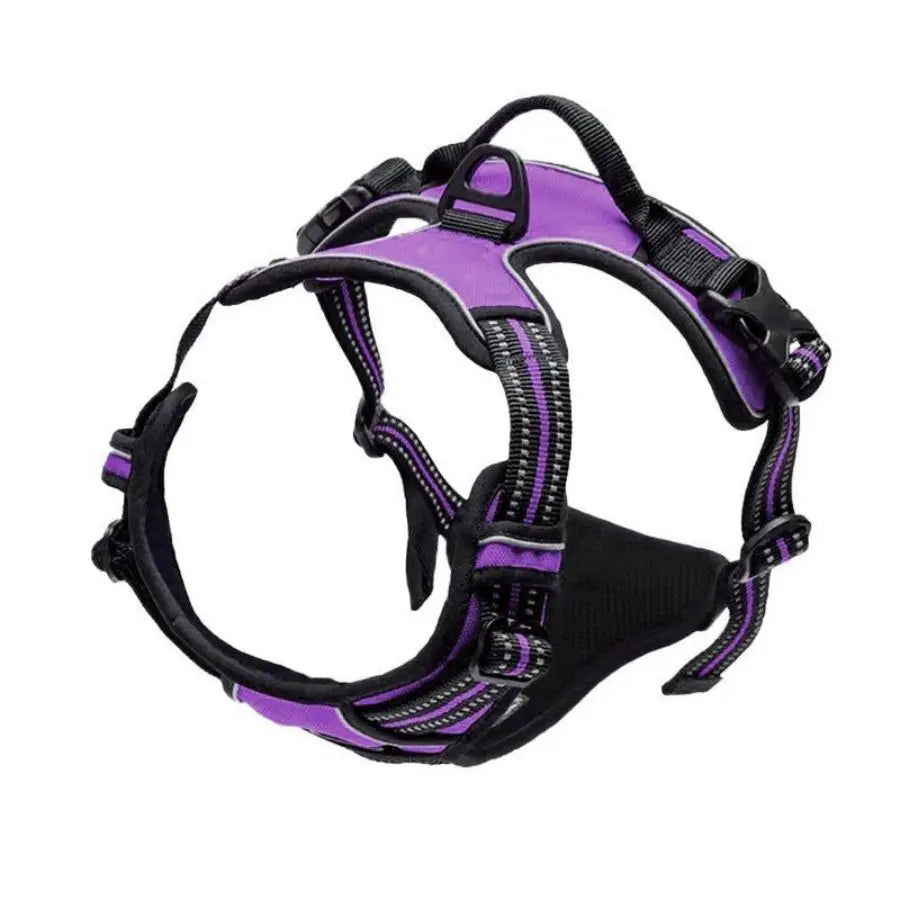 Everyday Comfort Harness
