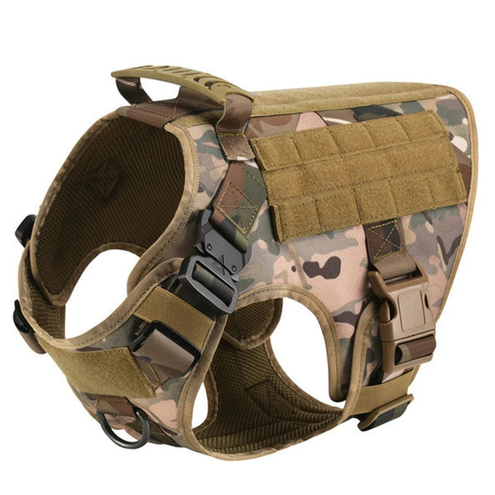 Explorer Harness & Leash Set
