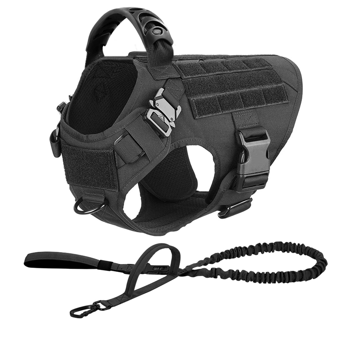 Explorer Harness & Leash Set
