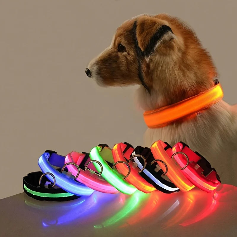 Glow Night-Walk Leash