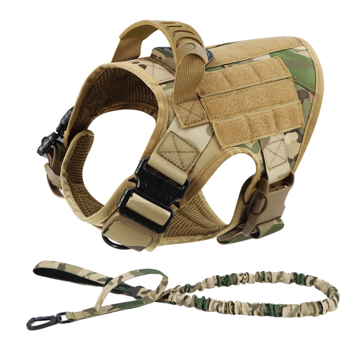 Explorer Harness & Leash Set