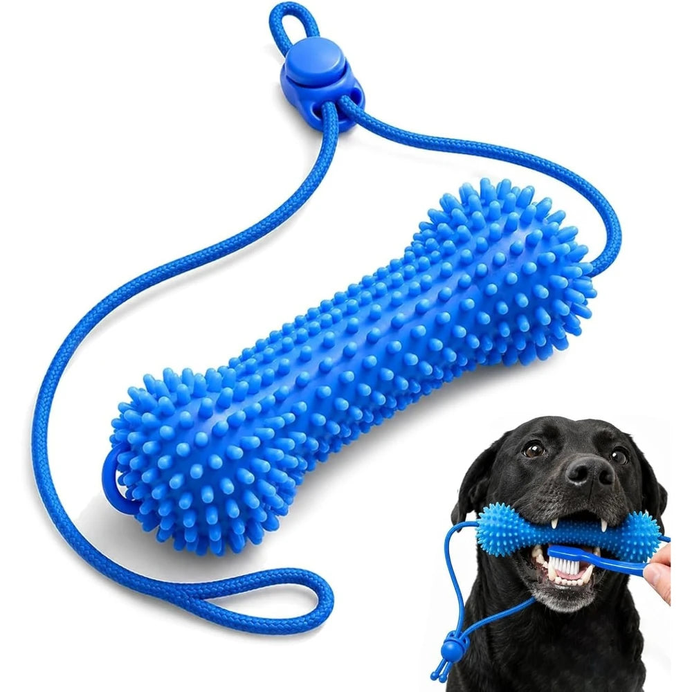 Dental Chew Stick
