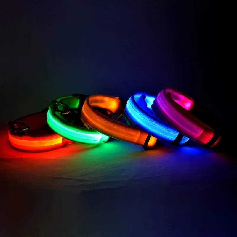 Glow Night-Walk Leash