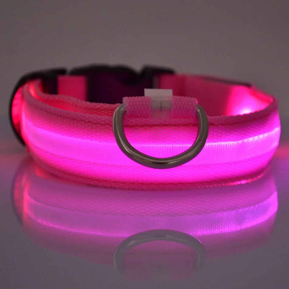 Glow Night-Walk Leash