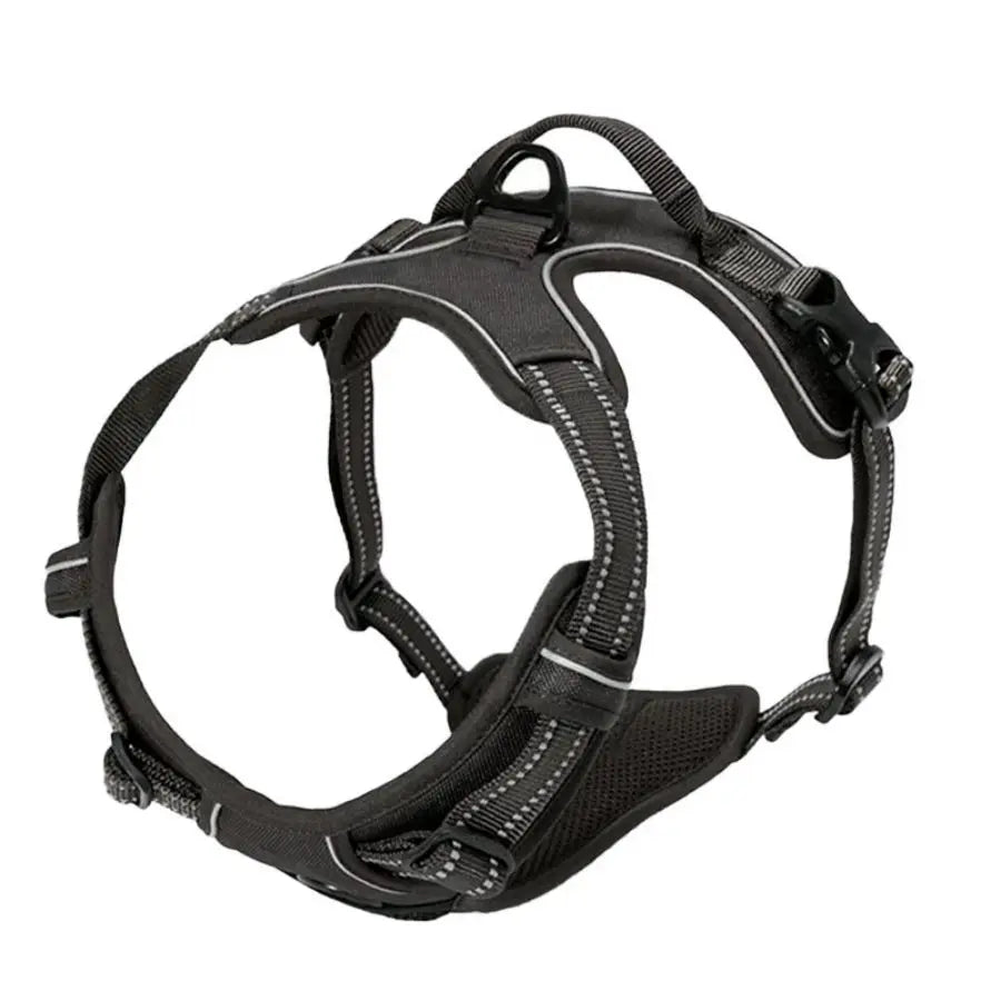 Everyday Comfort Harness