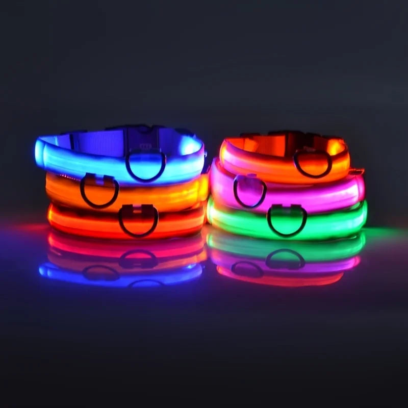 Glow Night-Walk Leash