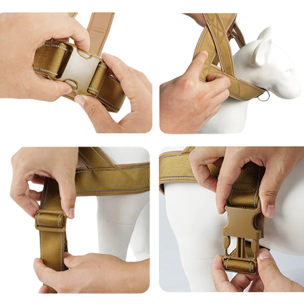 Trail No-Pull Harness