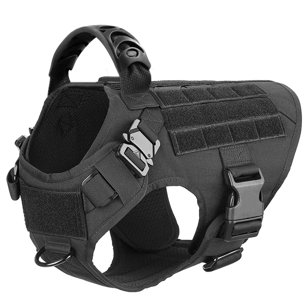 Explorer Harness & Leash Set