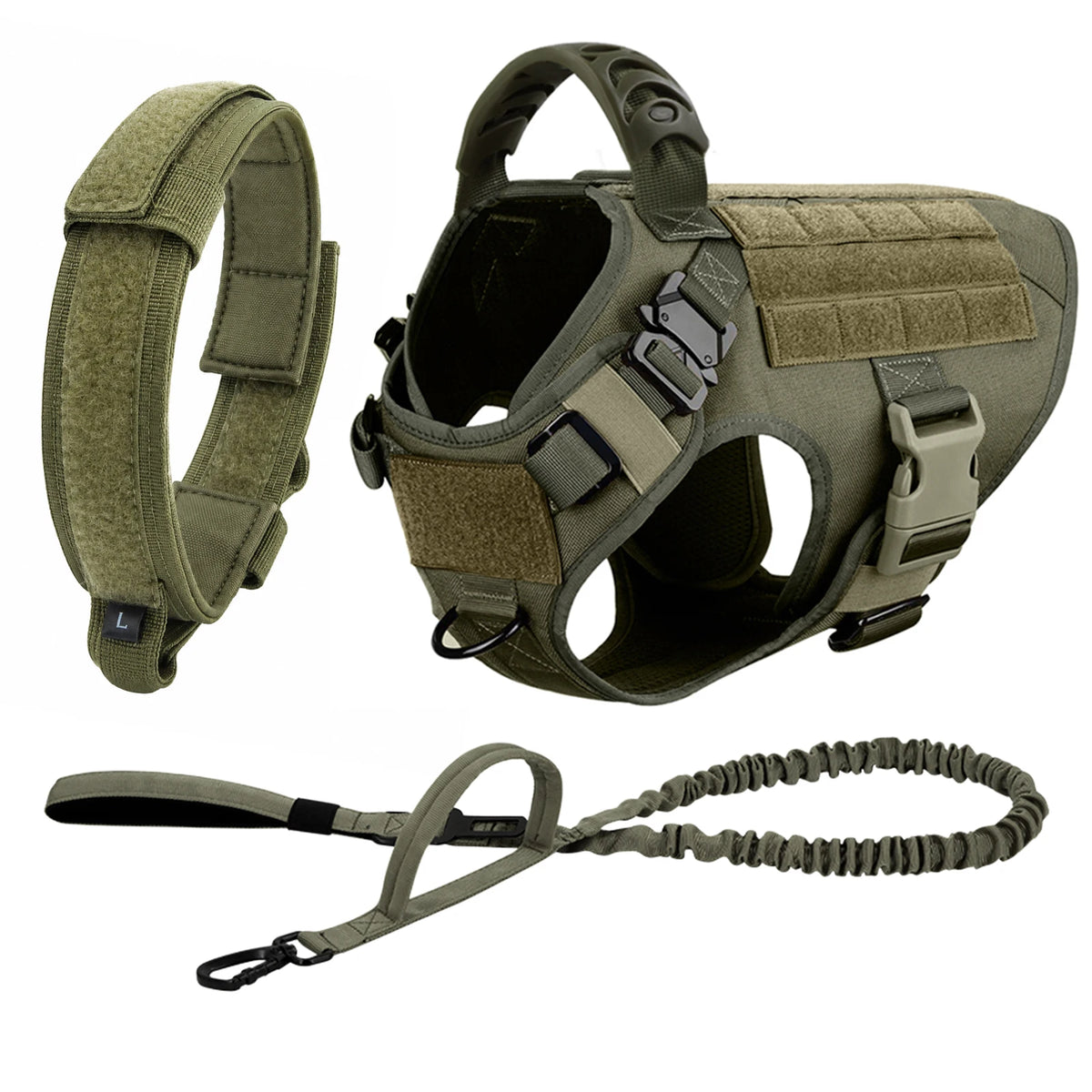 Explorer Harness & Leash Set