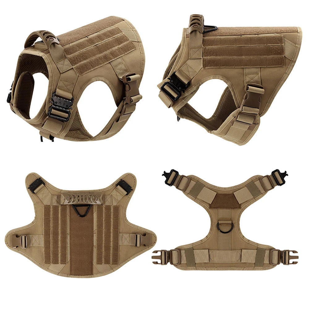 Explorer Harness & Leash Set