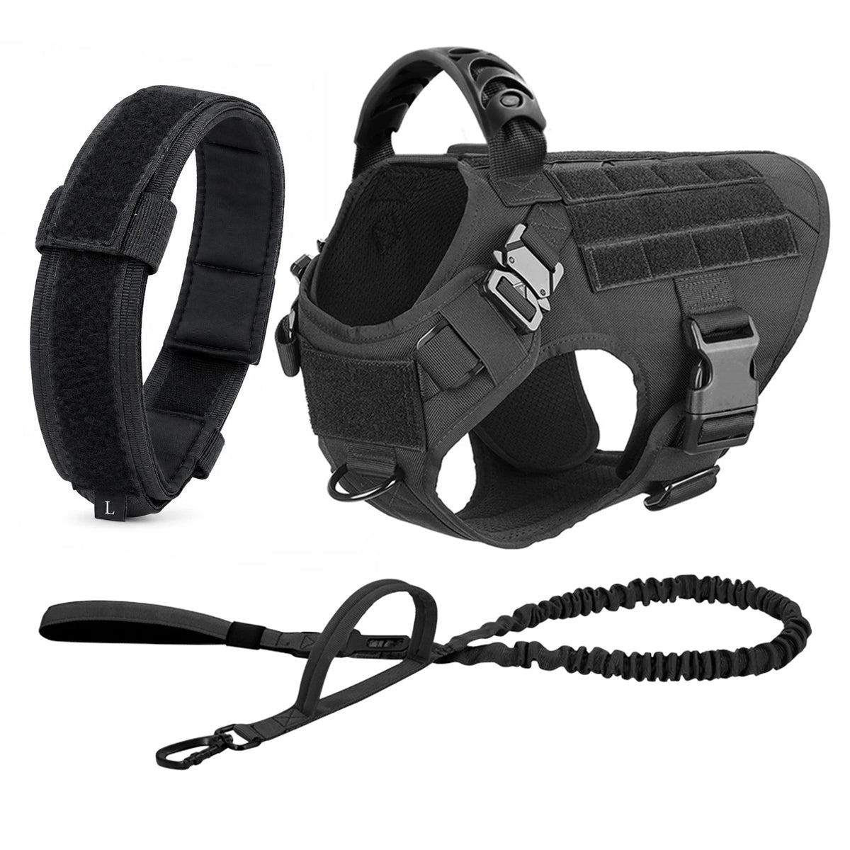 Explorer Harness & Leash Set