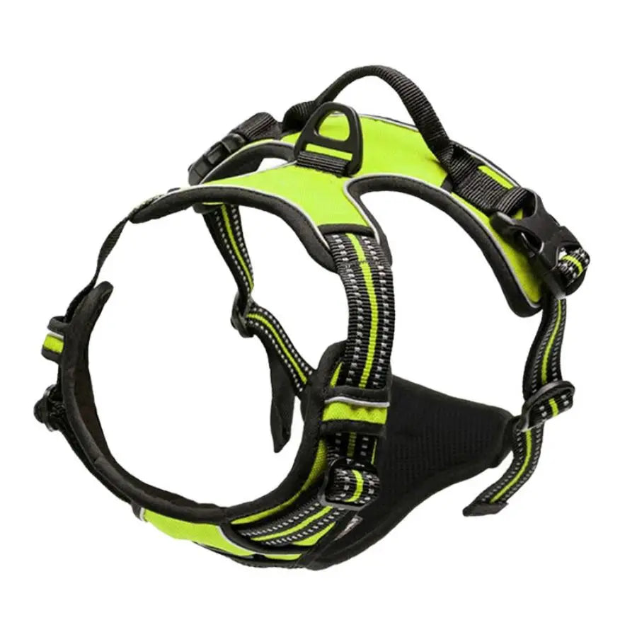 Everyday Comfort Harness