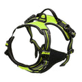 Everyday Comfort Harness