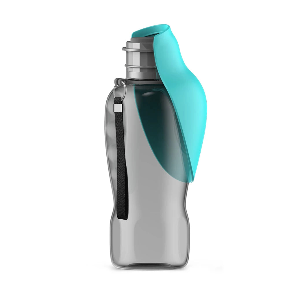 Adventure Water Bottle