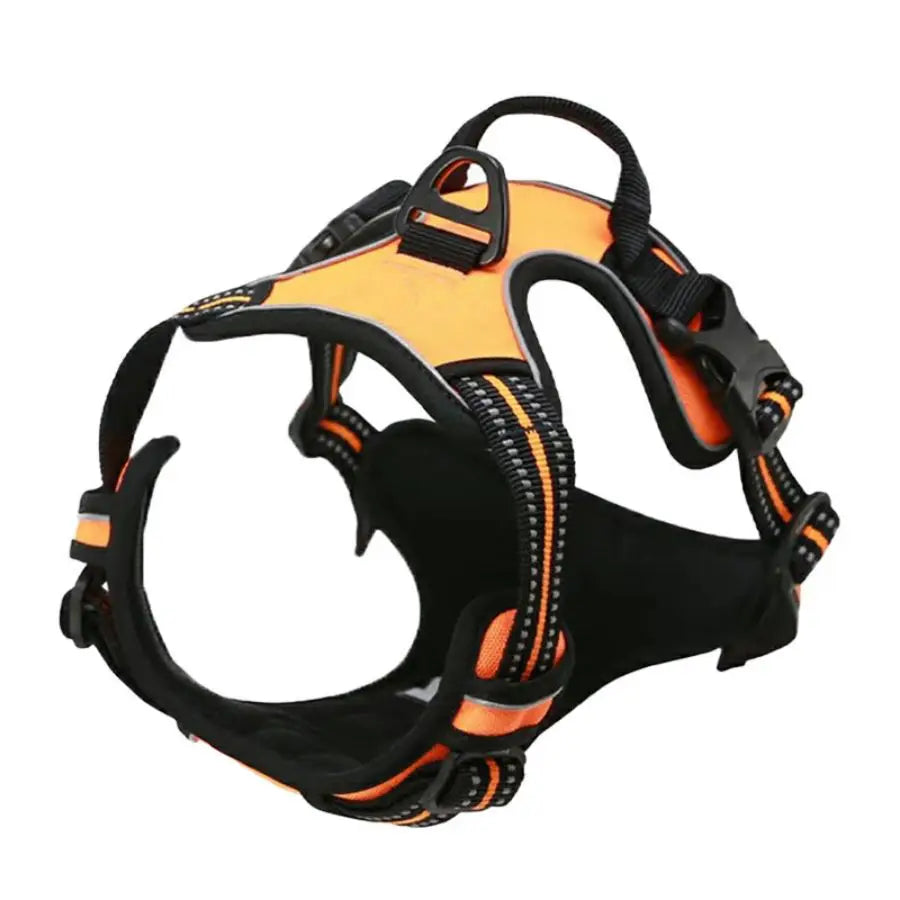 Everyday Comfort Harness